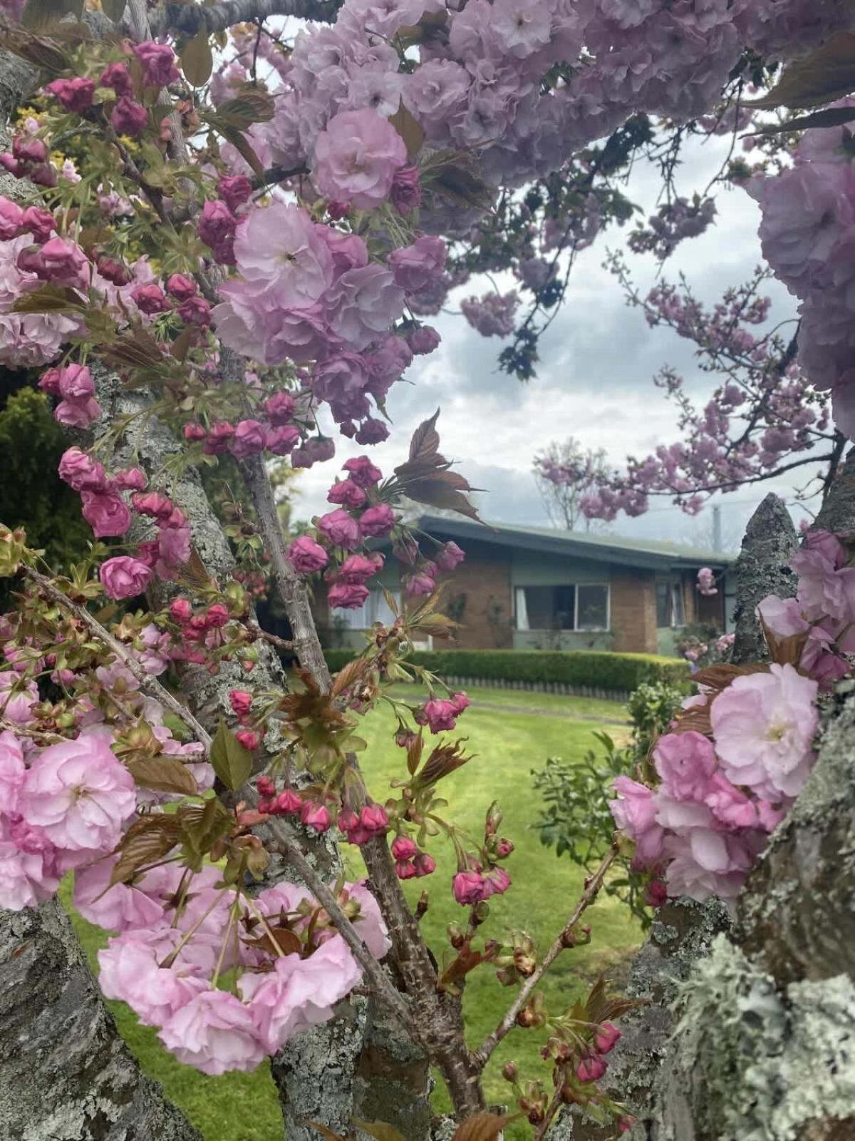 Roselake Retreat ロトルア エクステリア 写真